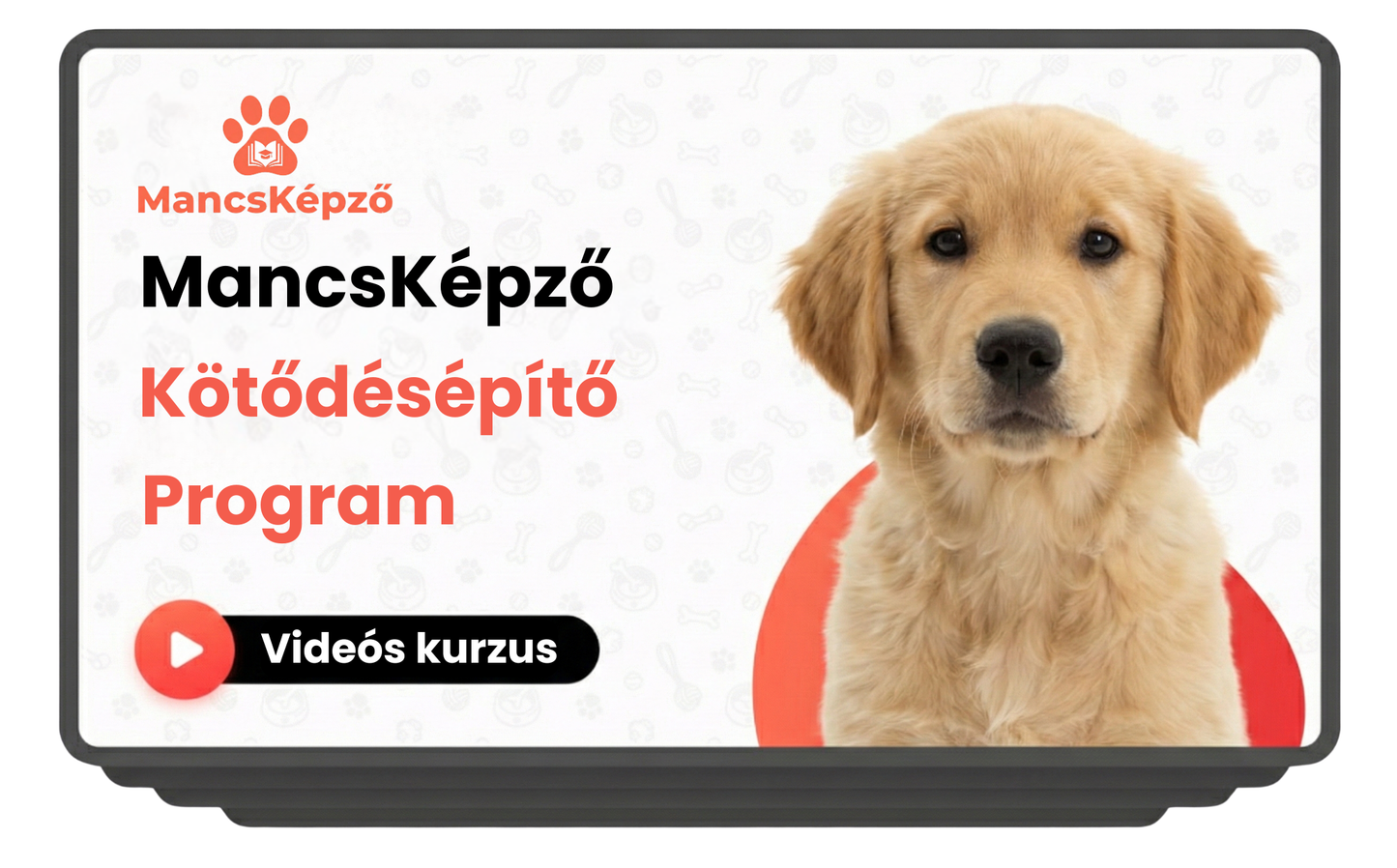 MancsKépző: Kötődésépítő Program
